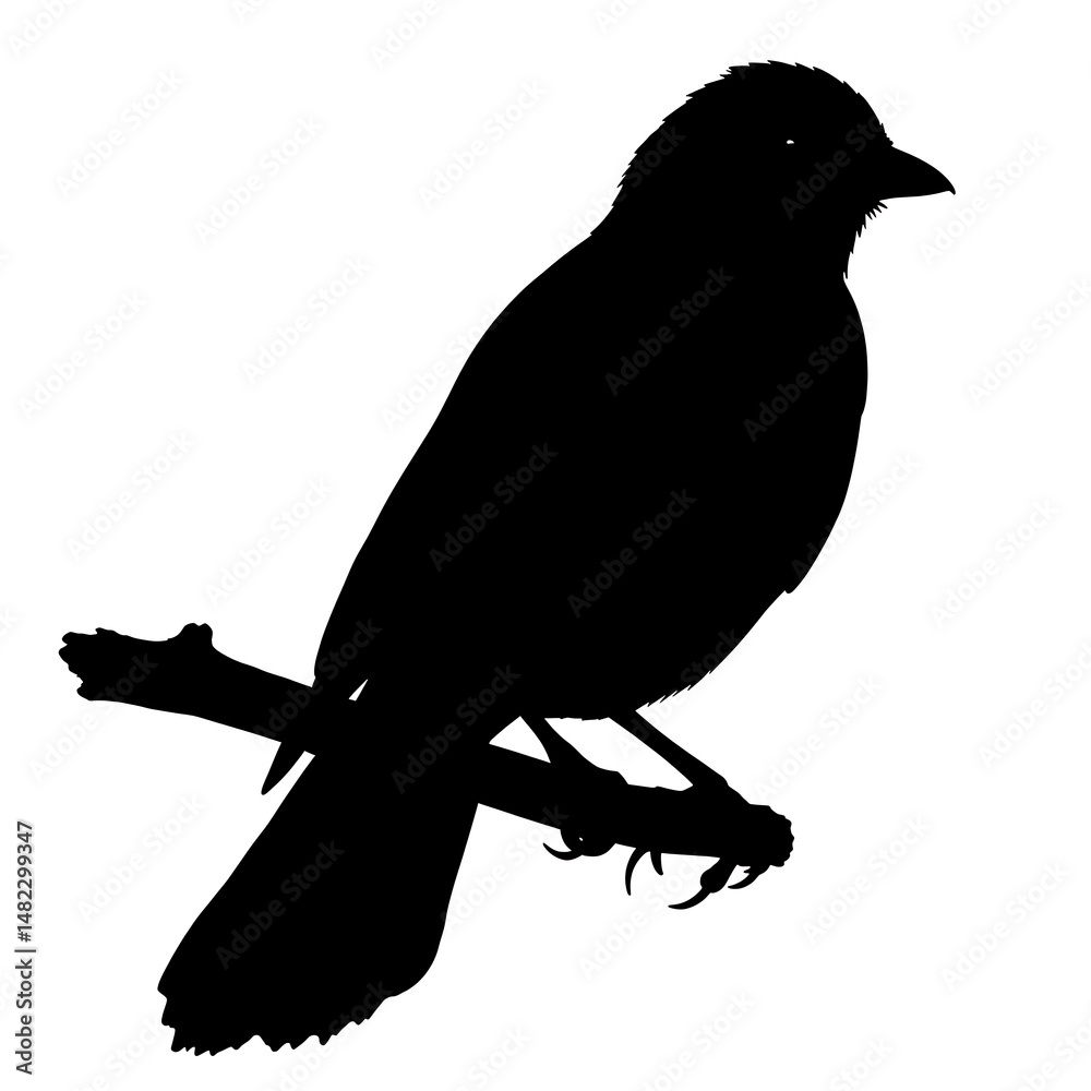 Obraz premium Inkbird Silhouette