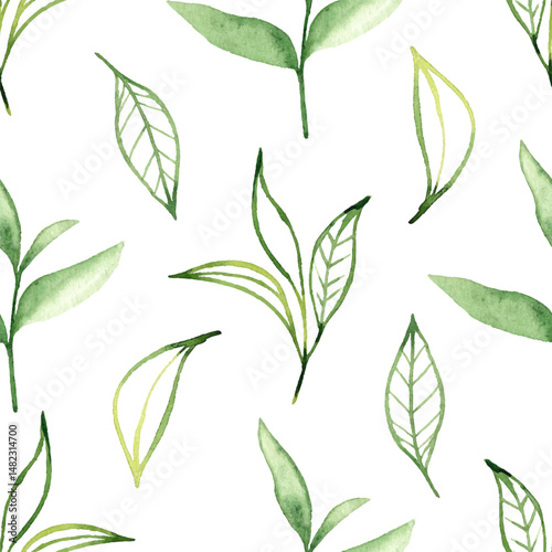 Green tea leaves seamless pattern. Hand drawn vector illustration with watercolor texture