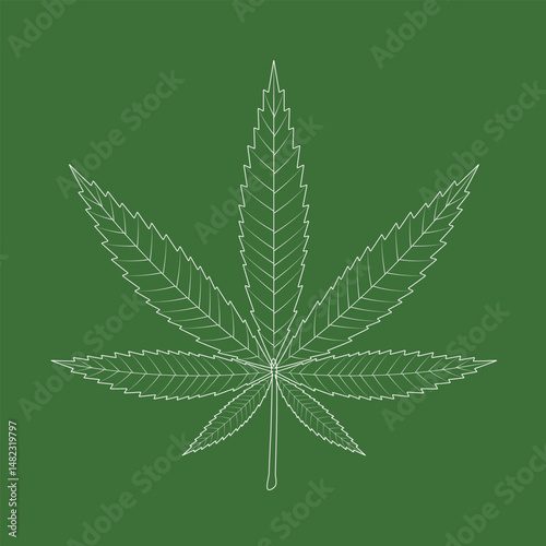 Marijuana leaf. Cannabis leaf isolated. Natural product of organic hemp.