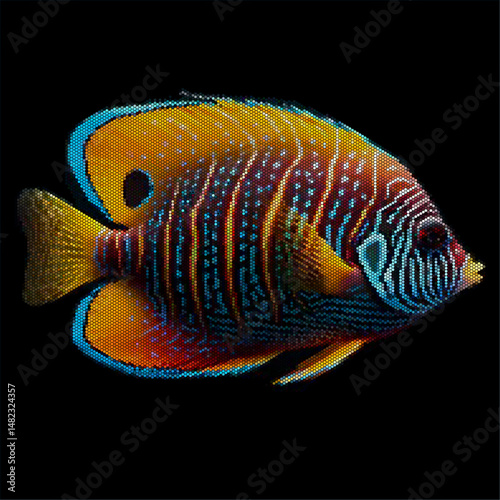 Live-12 Fish