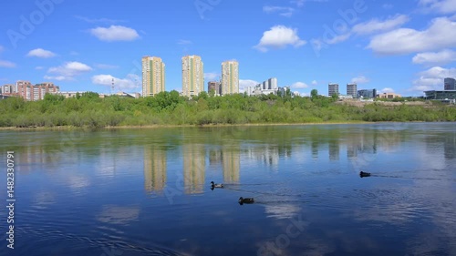 Cityscape wth river, buildingd, reflection and ducks  on water. Ducks swimming in Eniseay river, Krasnoyars. Birds search food forage. 