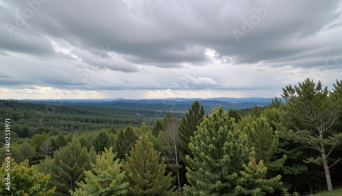 Vast landscape under dramatic cloudy sky with lush greenery.