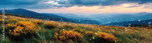 Blowing in the wind on hill with dandelion and sunrise concept. Sunset over a field filled with wildflowers and rolling hills.