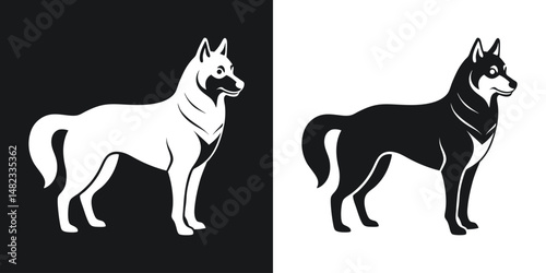 Minimalist vector illustration of a standing siberian husky dog in contrasting colors
