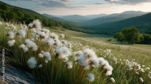 Blowing in the wind on hill with dandelion and sunrise concept. A serene landscape featuring lush greenery and distant mountains.
