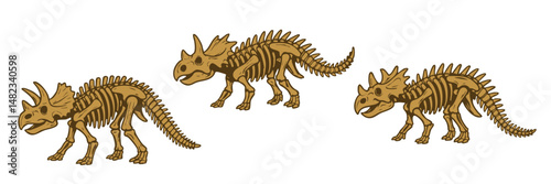 Albertaceratops dinosaur vector fossil illustration set