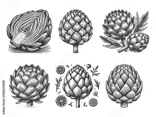 artichoke Set collection bundle sketch engraving generative ai vector illustration. Scratch board imitation. Black and white image.