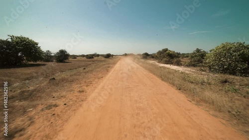 Rear view of car driving on dusty red road in Casamance, Senegal at midday, with dry savannah landscape, tall yellow grass, sparse trees and bright blue sky in hot West African countryside