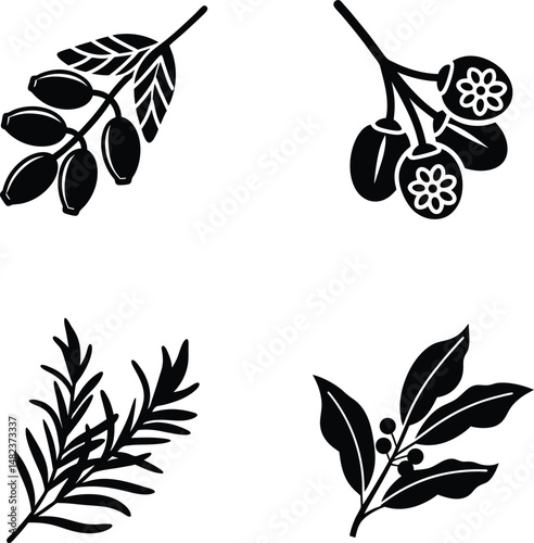Four black and white botanical illustration elements of branches and berries