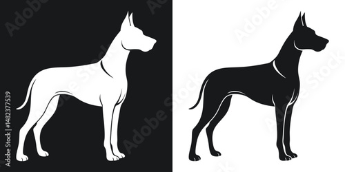 Elegant silhouette of a great dane dog posed in black and white on a contrasting background