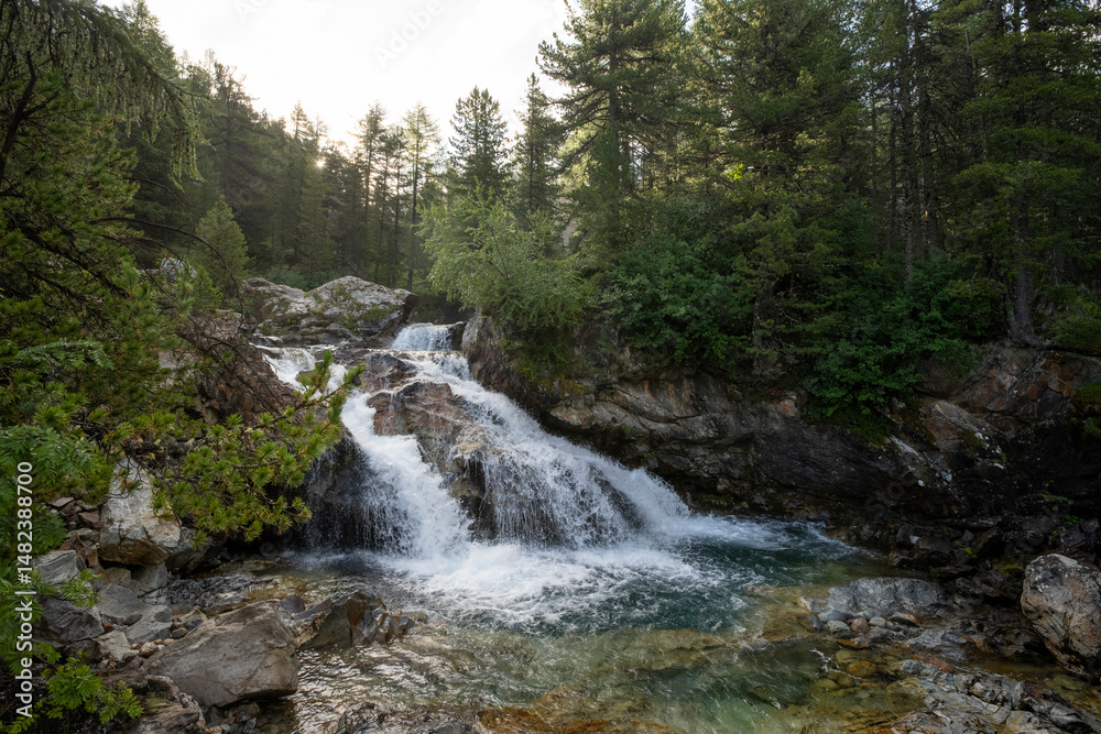 Fototapeta premium waterfall in the forest