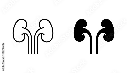 kidneys icon set, urinary system concept, vector illustration on white background