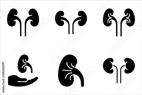 kidneys icon set, urinary system concept, vector illustration on white background