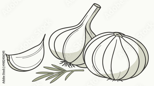 Vector detailed garlic cloves and bulbs, showcasing their unique shapes and textures, evokes sense of freshness