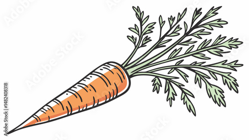 Vector vibrant watercolor carrot with green leaves, showcasing its natural beauty and freshness