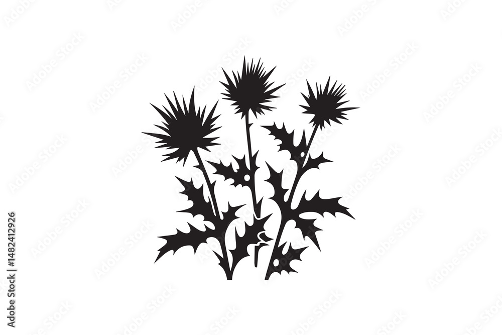 Obraz premium simple and unobtrusive sea holly vector silhouette illustration isolated in white background