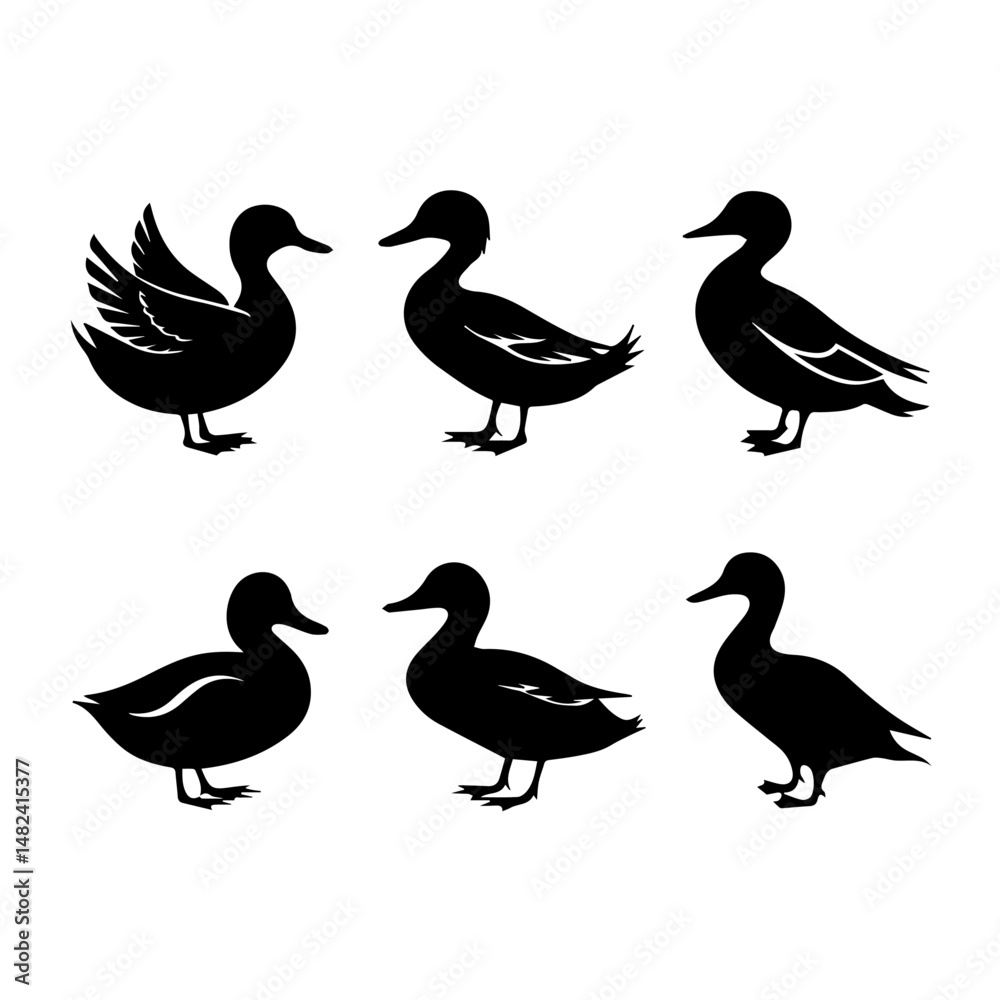 Obraz premium Set of six stylized black and white duck illustrations, each in a side profile with varied feather patterns. The minimalist vector style emphasizes form and texture for design or educational use.