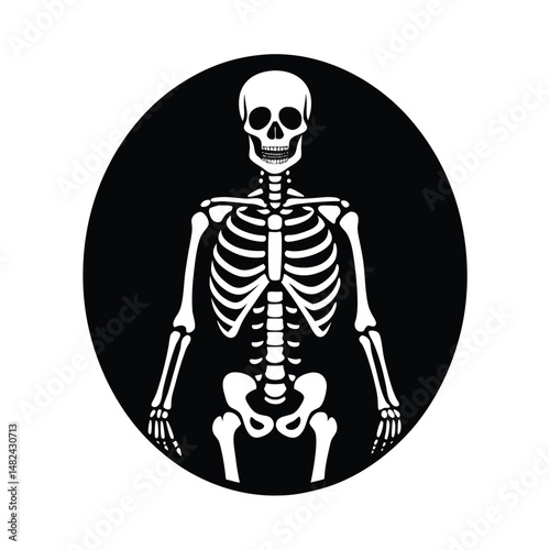 skeleton
