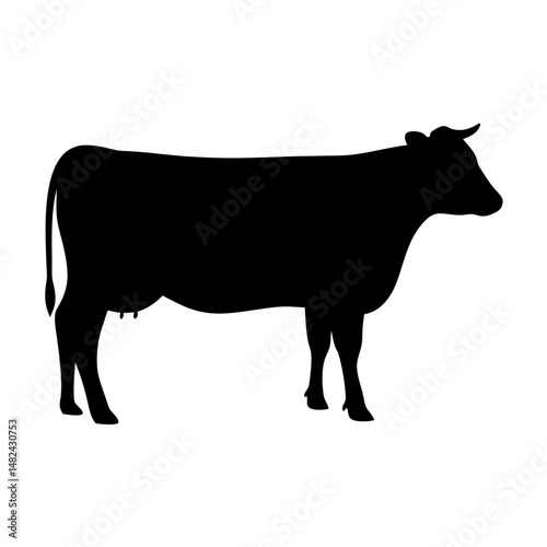 Elegant silhouette of a single black cow standing on a white background