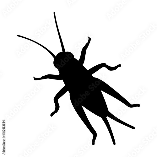 Dramatic Silhouette Depiction of a Detailed and Intricate Insect Specimen