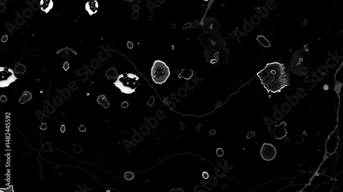 Dreamy Particles Overlay | Soft Grunge Film Texture