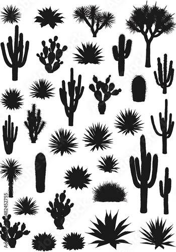 Desert Flora Silhouettes