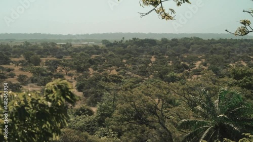Slow horizontal pan across green Casamance canopy with foreground branches, filmed at midday showing distant lush treetops and tropical landscape under bright sun in rural West Africa