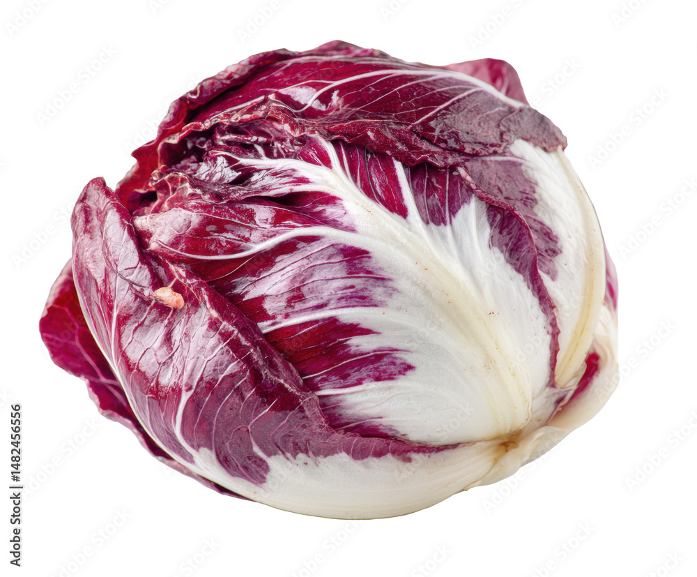 Fototapeta premium Fresh red radicchio for healthy meals and salad recipes, cut out transparent