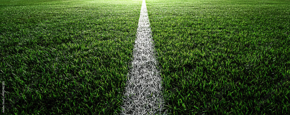 An expansive green sports field with a prominent, well-defined white line running through it, perfect for games and athletic activities, inviting players and fans alike.