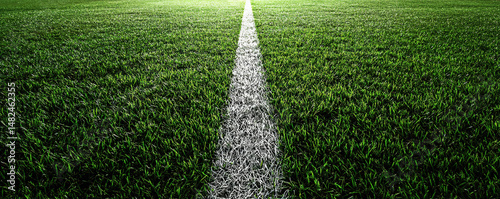 Obraz na płótnie An expansive green sports field with a prominent, well-defined white line running through it, perfect for games and athletic activities, inviting players and fans alike. w salonie