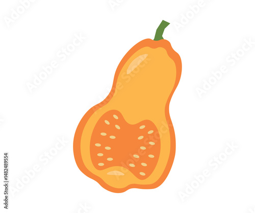 Simple flat cartoon illustration of pumpkin in the cut. Fresh sweet vegetable