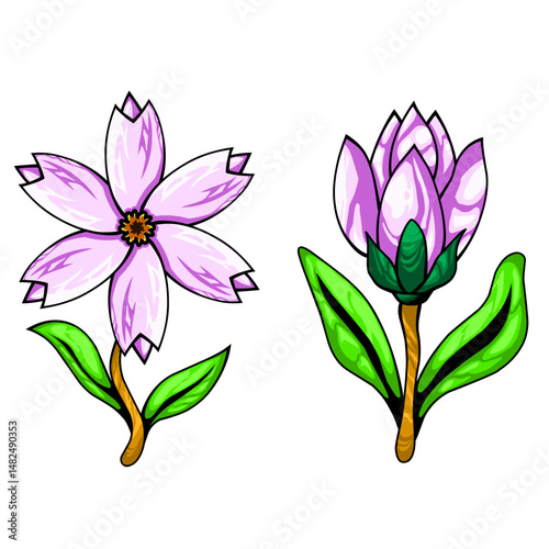flower bud illustration for design assets, backgrounds and beautify designs.
