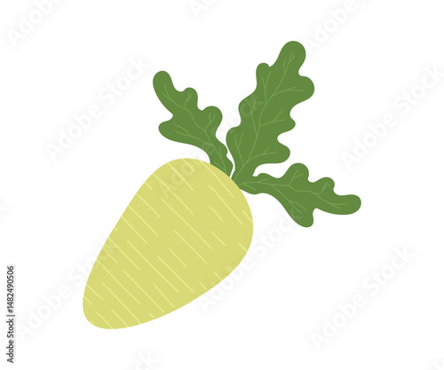 Simple flat cartoon illustration of daikon radish isolated