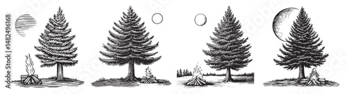 Illustrative Styles of Trees and Campfire in Various Night Sky Settings, Set Logo design, Vector Illustration, Engraving style
