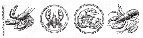 Vintage Engravings of Crustaceans Including Lobster and Shrimp, Set Logo design, Vector Illustration, Engraving style