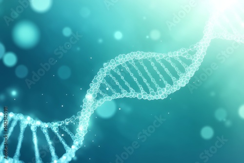 Double Helix Structure of DNA Molecule