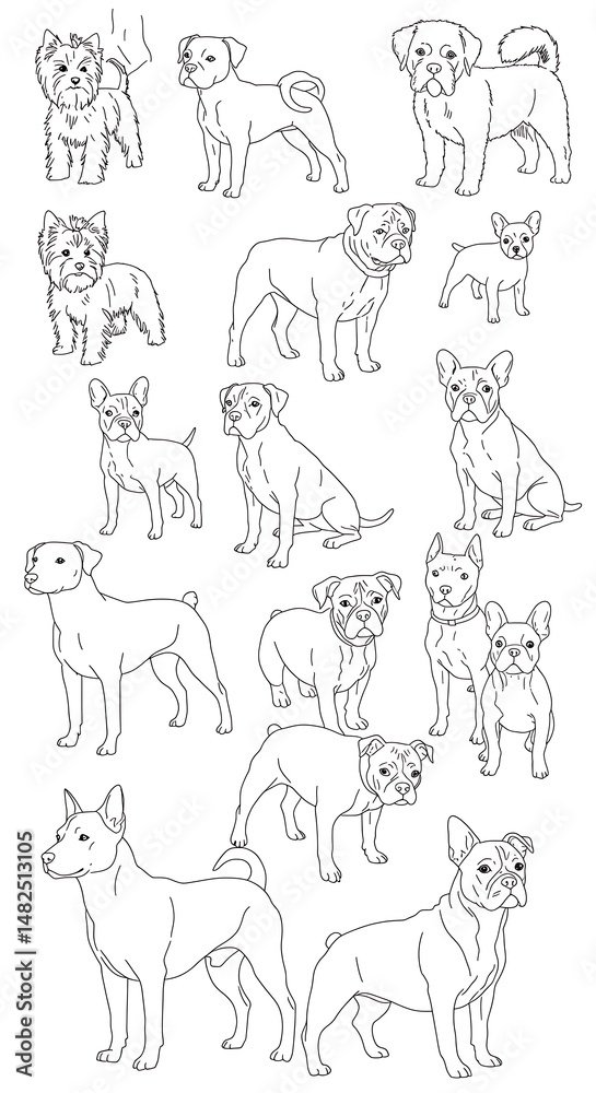 Fototapeta premium Charming Canine Sketches: Line Art Dog Collection
