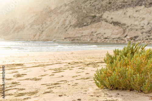 Golden Sand Meets Azure Ocean Waves Beautifully.
