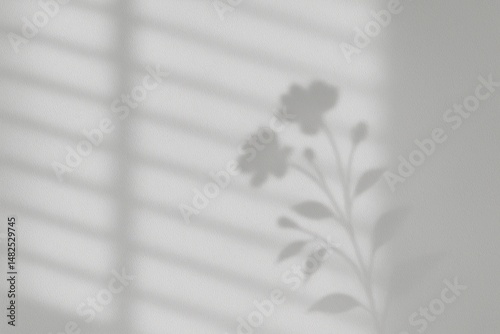 Flower Shadow Window Light Background