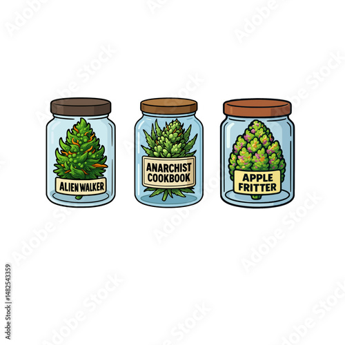 Vector Illustrated Cannabis Bud Strains in Jars Set of 3