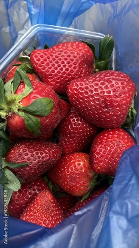 strawberries in a box