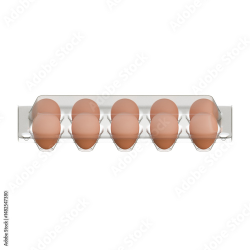 Egg Plastic Packaging Top Front View 3D Render Illustration
