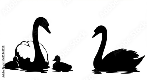 Vector silhouette of swan with baby swan. Symbol of wild animal and family.