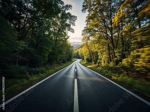 Scenic Drive Through Forest - POV