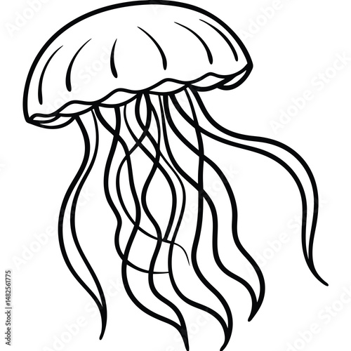 Simple black line jellyfish illustration with a dome-shaped bell and flowing tentacles. Smooth curves and clean design, ideal for ocean, marine, sea life, educational designs, and nature themes.
