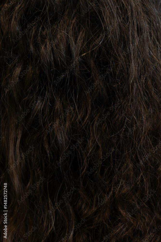 Naklejka premium Natural curly hair showcasing texture and volume in a close-up view