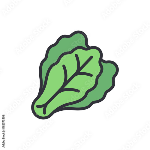 Fresh Green Lettuce Head Icon Isolated On Transparent Background