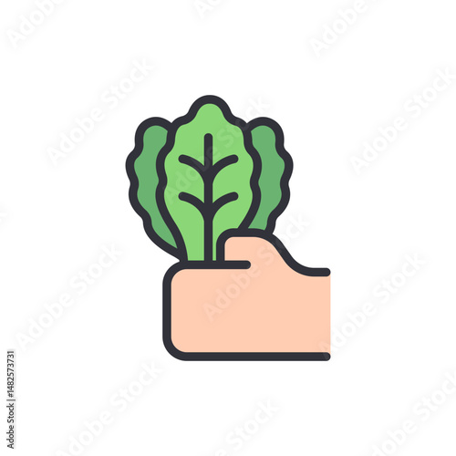 Hand Holding Fresh Lettuce Head Depicts Healthy Eating Concept