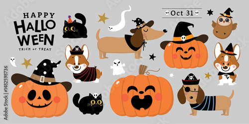 Happy halloween party invitation card with cute dachshund puppy wear witch hat, corgi dog in fancy costume, black cat, ghost and spooky pumpkin. Animals holidays cartoon character. -Vector 