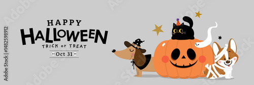 Happy halloween party invitation card with cute dachshund puppy wear witch hat, corgi dog in fancy costume, black cat, ghost and spooky pumpkin. Animals holidays cartoon character. -Vector 
